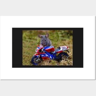 Biker Mouse Posters and Art